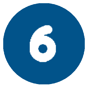 6 number icon